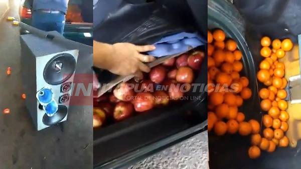 CONTRABANDO: LLENÓ SU AUTO DE TOMATES Y LOS ESCONDIÓ DE UNA MANERA MUY INGENIOSA