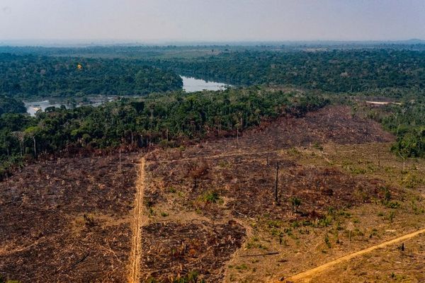 Brasil dirá al Vaticano que es el único responsable del cuidado del Amazonas - Mundo - ABC Color