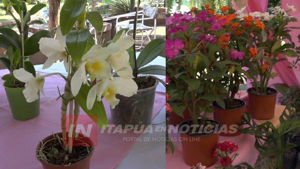 SEGUNDA FERIA DE FLORES SE LLEVÓ A CABO EN ENCARNACIÓN