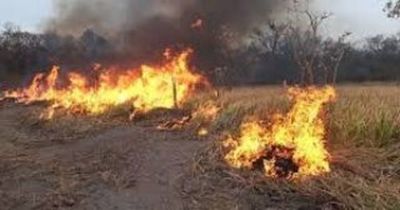 Más de 300 mil hectáreas afectadas por los incendios