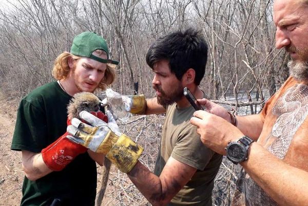 Jóvenes rescatan y atienden a animales víctimas del fuego