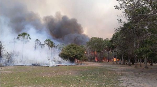 Emergencia Nacional asegura que focos de incendios disminuyen y que inicia proceso de enfriamiento