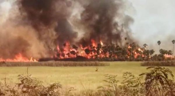 Focos de fuego se reaviva en el Pantanal y Chaco Sudamericano
