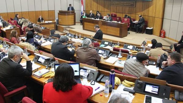 Senadores podrán viajar dos veces por año y solo podrán hablar 10 minutos por tema