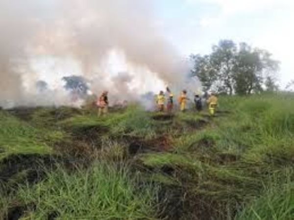 Siguen los trabajos de los bomberos en las 400 héctareas de incendio en Ypacaray