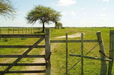 Asesinan a un guardia de la estancia Tres Hermanos de Horqueta