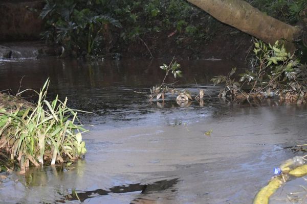 Pobladores de Itauguá denuncian muerte de peces en arroyo Aveiro
