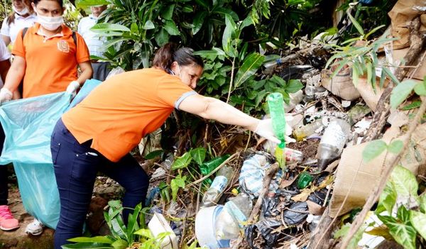 Senepa insta a la eliminación de criaderos de mosquitos para evitar proliferación del Aedes aegypti  - Nacionales - ABC Color