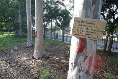 Trasladan vallas del Botánico para continuar obras del Corredor Vial