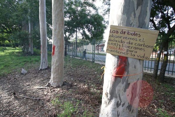 Trasladan vallas del Botánico para continuar obras del Corredor Vial