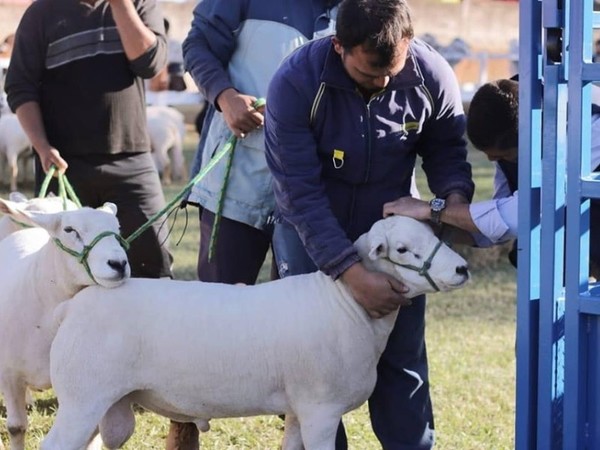 Texel realizará su segunda exposición nacional