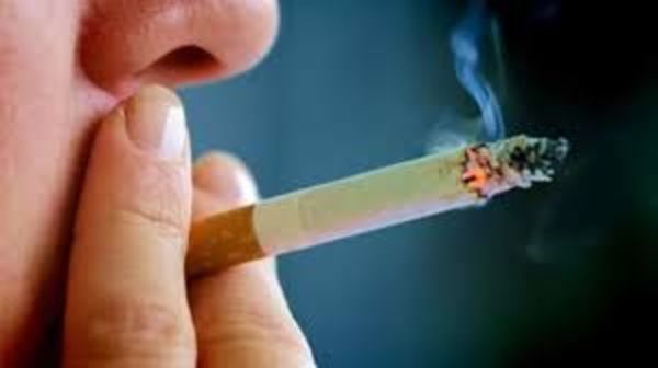 Empresarios tabacaleros admiten que elevar impuesto permitirá mayor ilegalidad de cigarrillos