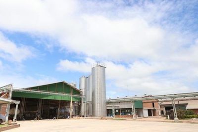 A un mes del incendio, el frigorífico del Chaco reinició sus faenas
