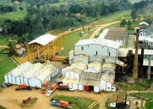 Gobierno insistirá por declaración de quiebra de Azucarera Iturbe