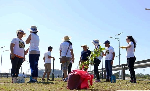 Servicios, plantación de arbolitos y curso de señas en Luque •