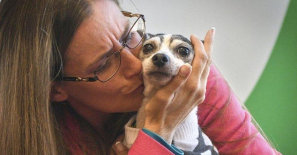 Se reencontró con su perra ¡tras 12 años!