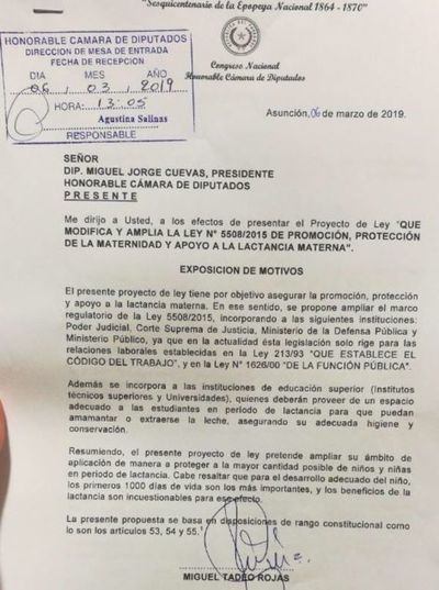 Buscan mejorar protección a la maternidad y la lactancia materna