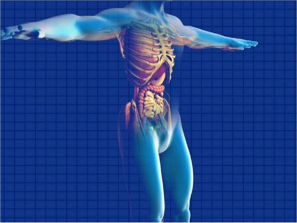Diseñan impresora 3D que reproduce órganos para operaciones médicas