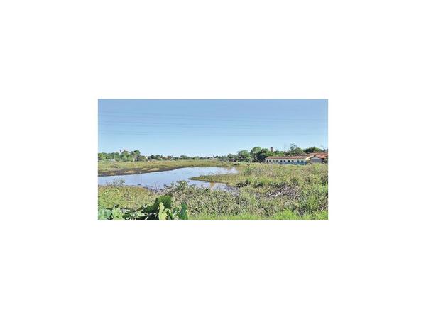 CDE: Lago Carolina está en la mira para la restauración del ecosistema