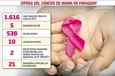 El cáncer de mama lleva la delantera en nuevos casos y en mortalidad - Locales - ABC Color