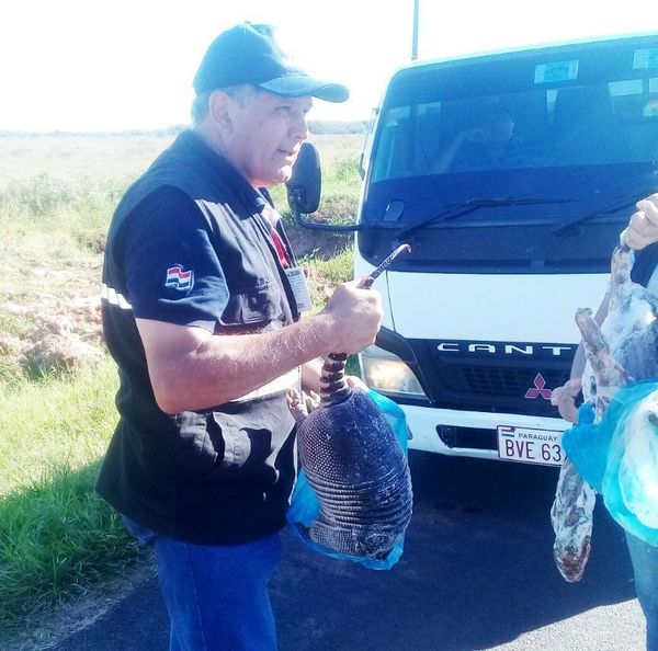 Decomisan animales silvestres en San Pedro