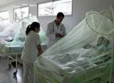 17 casos confirmados de dengue y Alto Paraná en Alerta