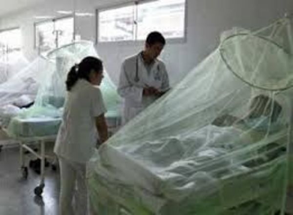 17 casos confirmados de dengue y Alto Paraná en Alerta