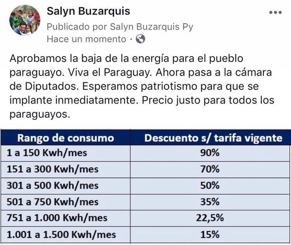 Populismo en el Congreso: Parlamentarios se declaran proyectistas contra tarifazo de la ANDE