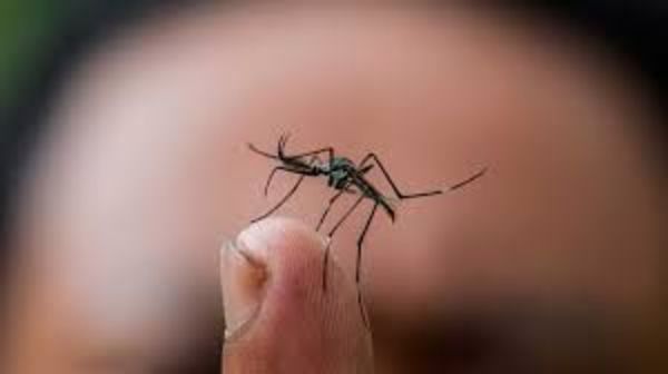 Primera victima del dengue proviene de Minga Guazu