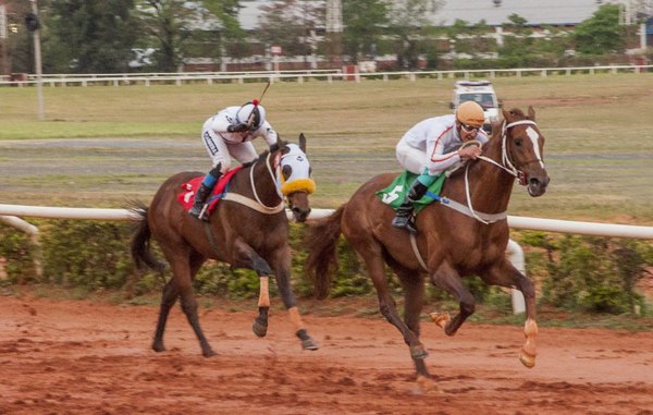 El Premio Doble 10 es atracción principal del turf