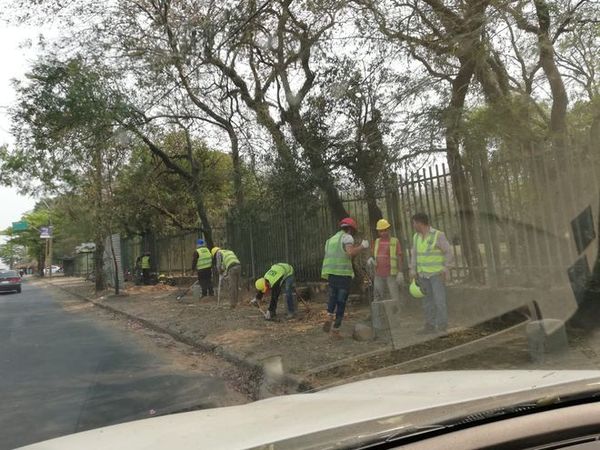 Jueza concede amparo para suspensión de obras del viaducto