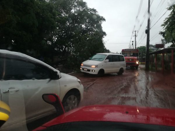 Raudales y caída de árboles caracterizan jornada de lluvia