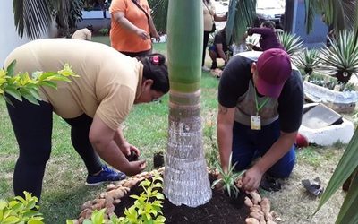 Realizan trabajos de pintura y jardinería en terminal de buses de CDE