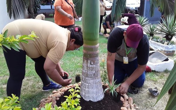 Realizan trabajos de pintura y jardinería en terminal de buses de CDE