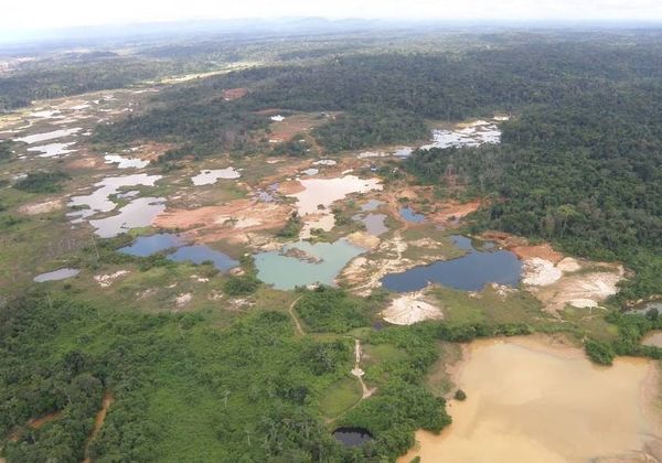 La mafia y guerrilleros explotan la Amazonía venezolana en búsqueda de oro