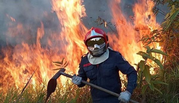 Bolsonaro califica de psicosis datos de ambientalistas sobre alarma mundial