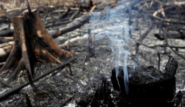 El incendio en las Amazonas llega hasta provincias fronterizas con Perú