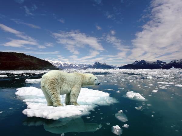 El calentamiento global se acelera y se acerca el fin de la humanidad