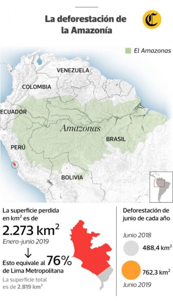 Deforestación en Brasil aumenta en más de 88% bajo el gobierno de Bolsonaro