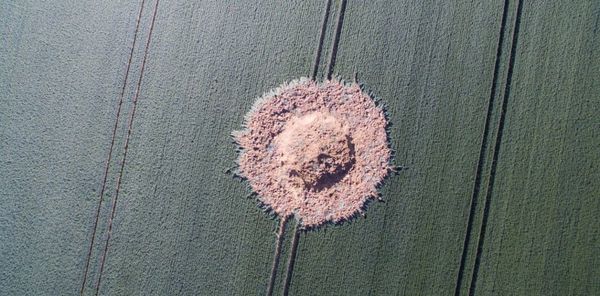 Explota en Alemania una bomba de la Segunda Guerra Mundial