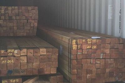 Detienen a superintendente en Brasil por explotación de la amazonas