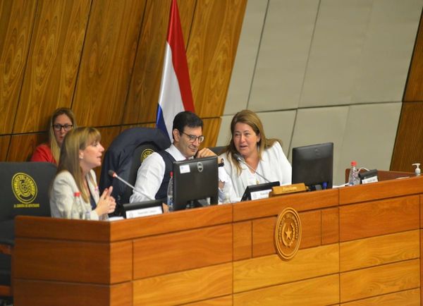 MAG y BNF defenderán su plan de gastos