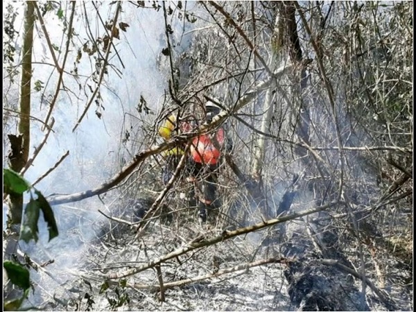 VOLVIÓ A ARDER LA RESERVA SAN RAFAEL