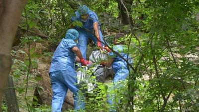 Siete cadáveres en nueve fosas en Acapulco