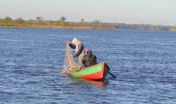 El 4 de noviembre comienza la veda pesquera - ADN Paraguayo