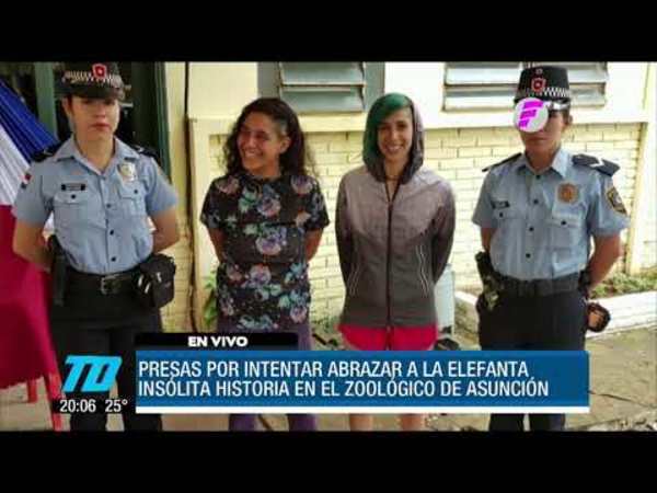 Insólito. Detenidas por ingresar a jaula de elefante