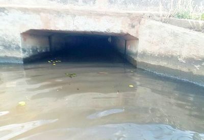 Septuagenaria muere de un paro y cae al arroyo Mboi kaẽ - Nacionales - ABC Color