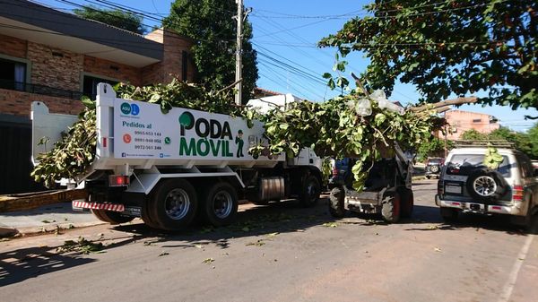 Recolectan 321.512 kg de basura
