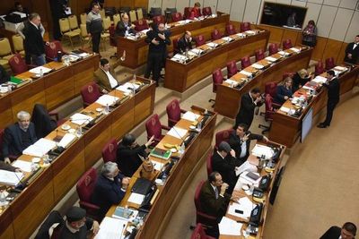 Senado convocó a sesión extraordinaria para analizar acuerdo bilateral sobre energía