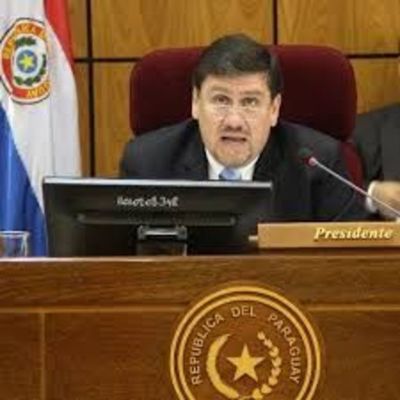 Con apoyo colorado y liberal, Blas Llano será el nuevo presidente de Senadores